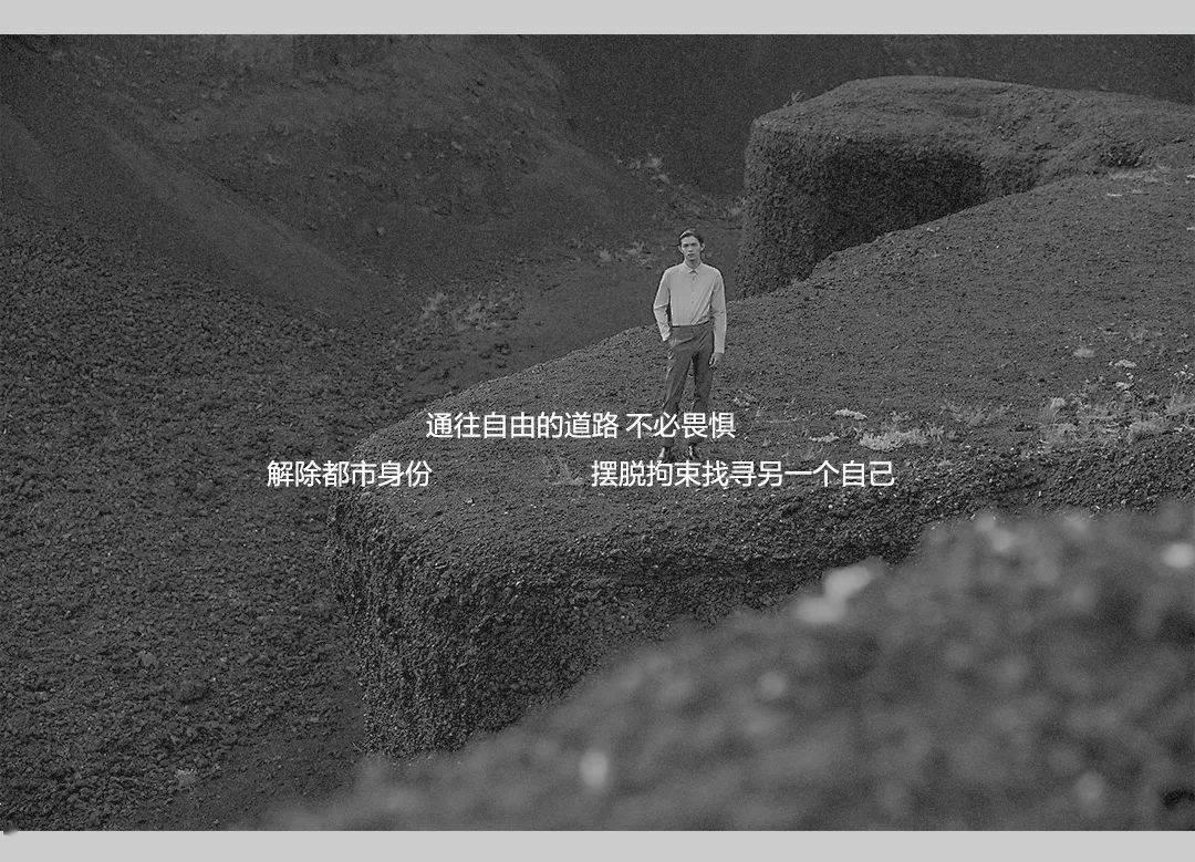 蛋白质,这个看似普通的名词,实则是生命的基石