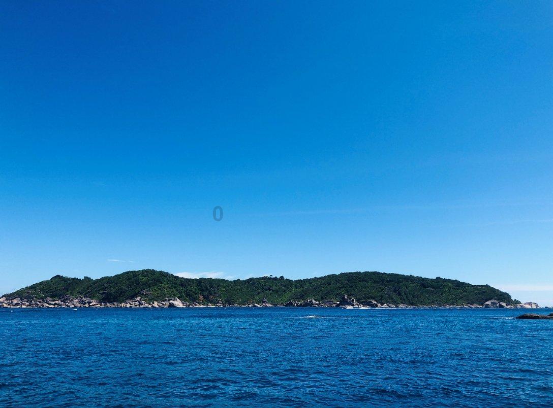 寻找火鸡