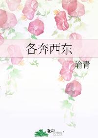 市邮安中心召开申投诉工作推进协调会