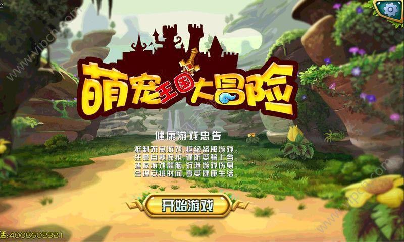 可爱的小考拉